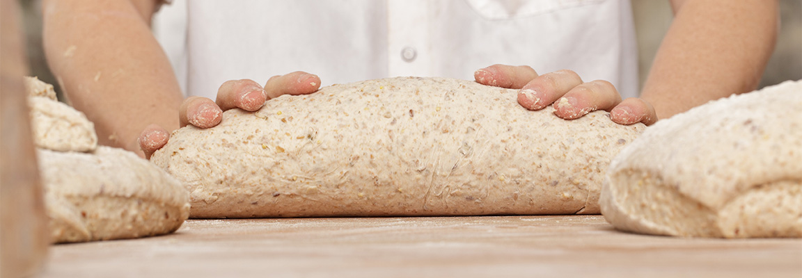 Hands kneading dough on a counter top, surrounded by other dough.