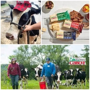 Cabot creamery is a local partner